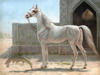 Persian Horse by Eerelman